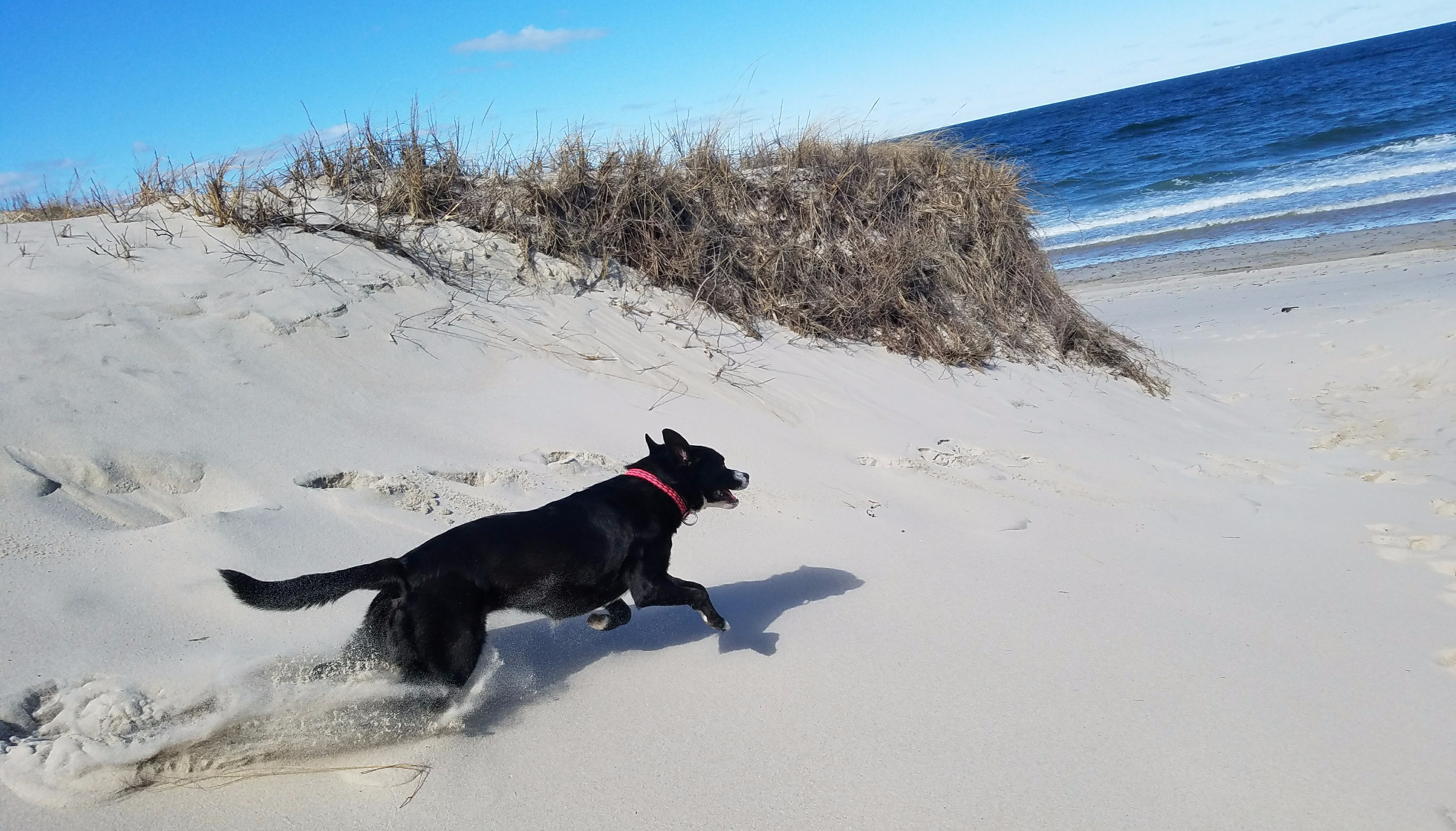 Why Secluded Cape Cod came to be. – Secluded Cape Cod