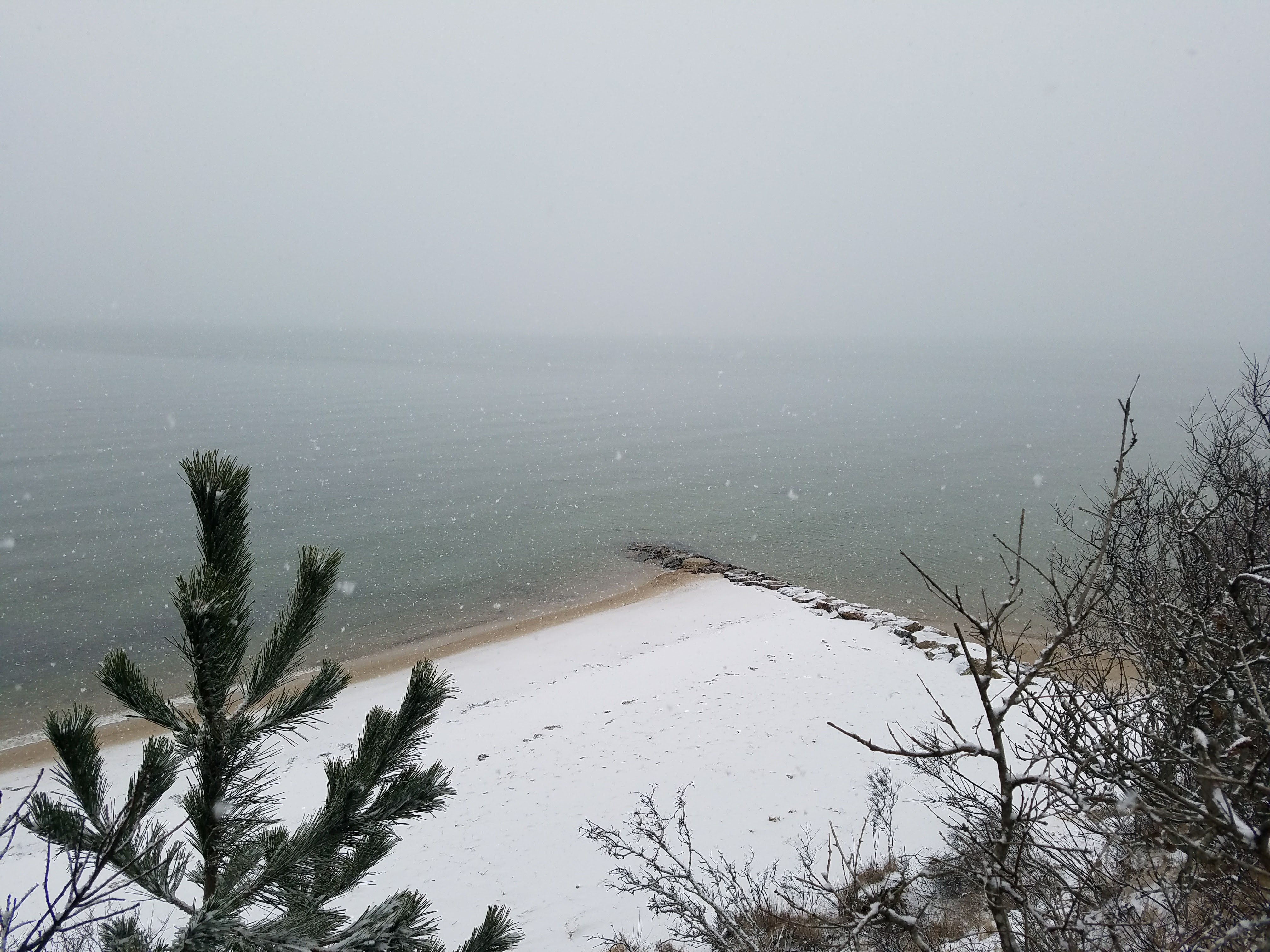 Eddy Bay Trail, Cape Cod Bay from on High – Secluded Cape Cod