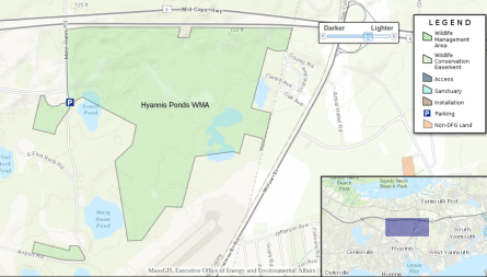 Screenshot 2017-06-03 at 7.47.29 PM