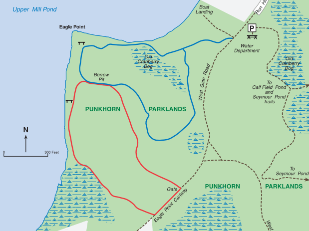 Screenshot 2017-06-06 at 8.45.01 PM