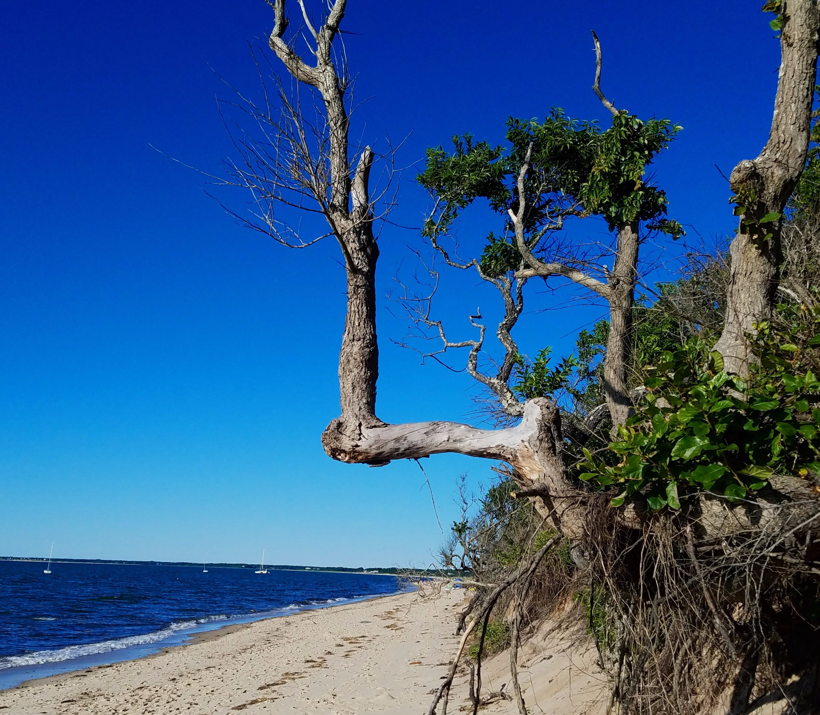 Spruce Hill, A Hidden Beach On The Bay. – Secluded Cape Cod