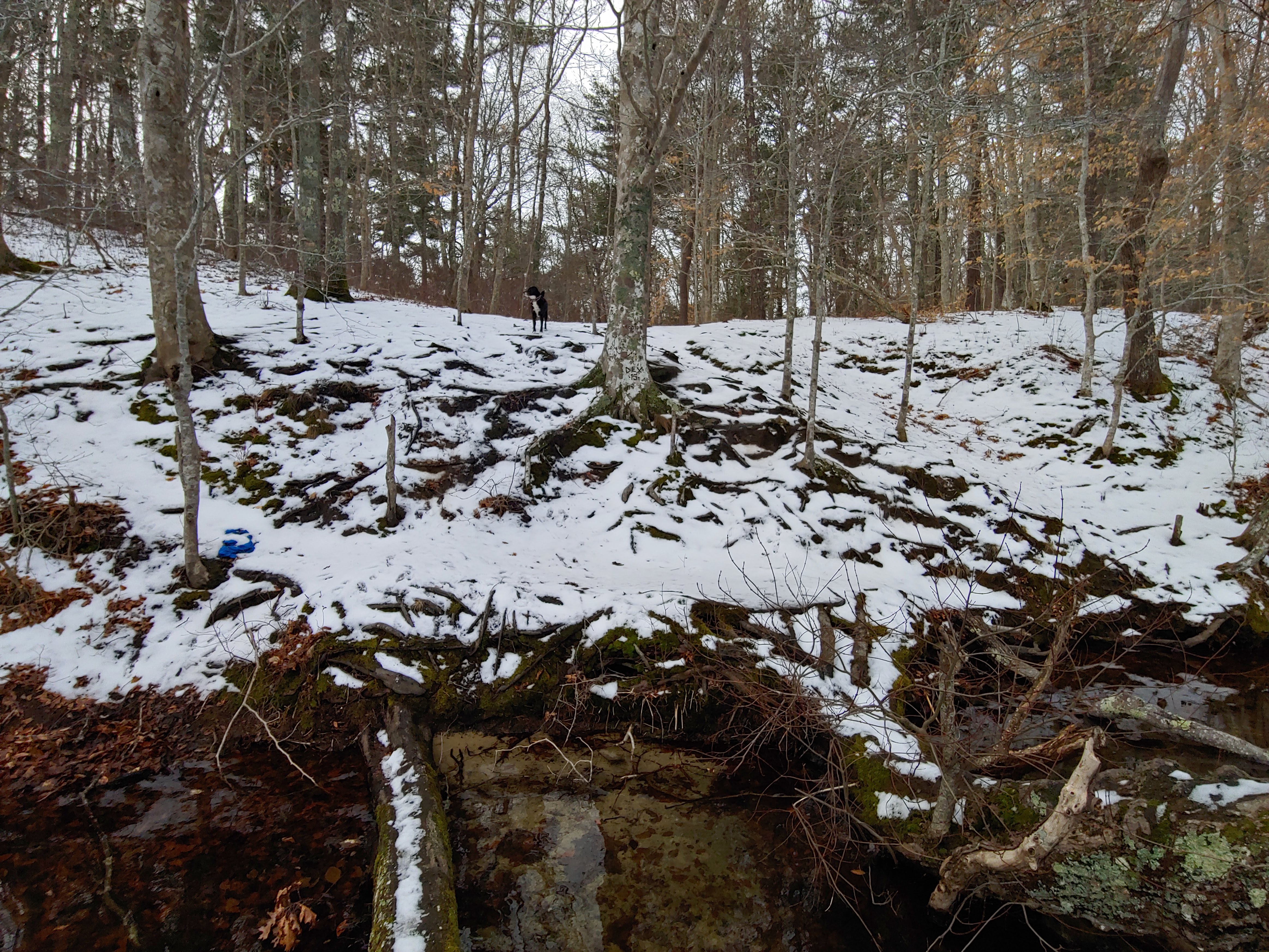 Pickerel Cove – Mashpee Wildlife Refuge – Secluded Cape Cod